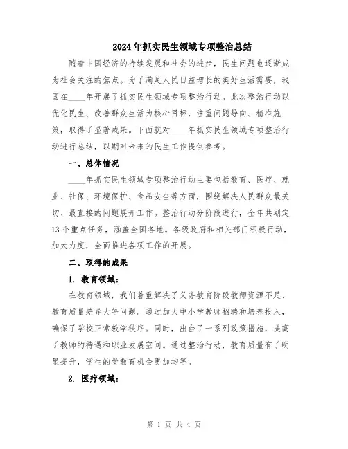 2024年抓实民生领域专项整治总结