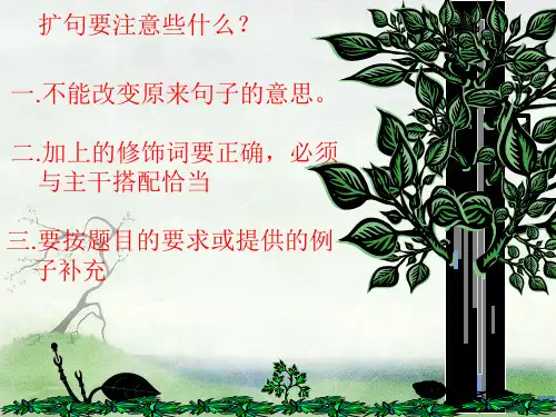 五年级语文缩句扩句讲课讲稿