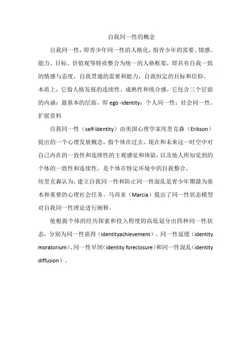 自我同一性的概念