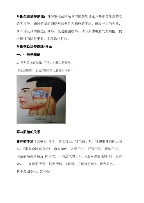耳部全息铜砭刮痧