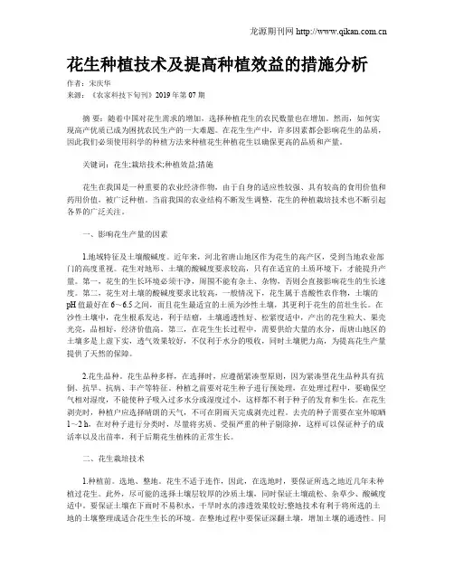 花生种植技术及提高种植效益的措施分析