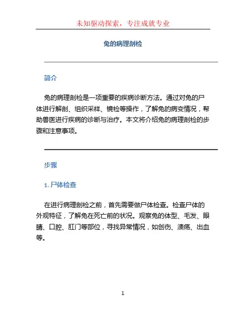 兔的病理剖检