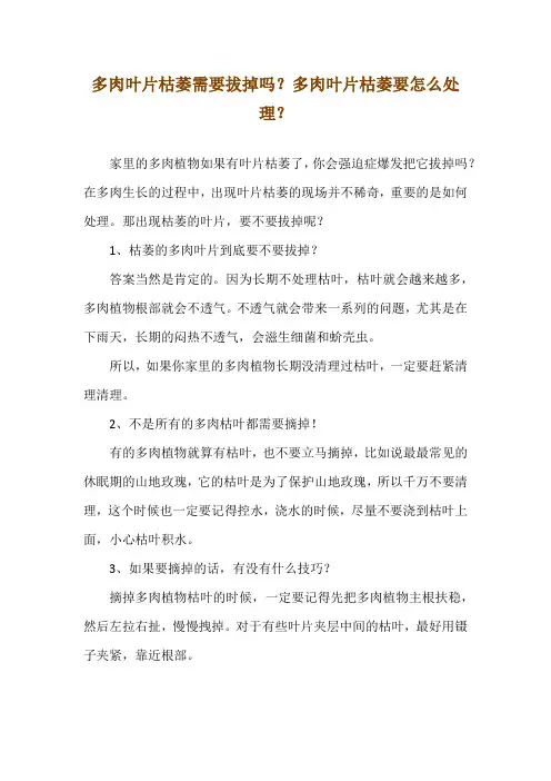 多肉叶片枯萎需要拔掉吗？多肉叶片枯萎要怎么处理？