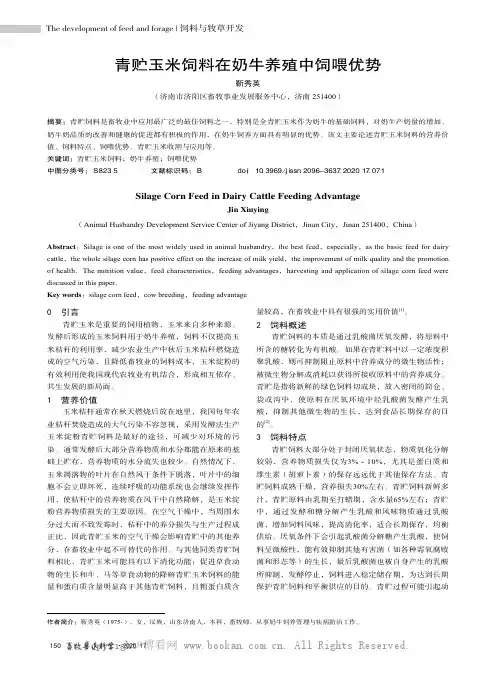 青贮玉米饲料在奶牛养殖中饲喂优势