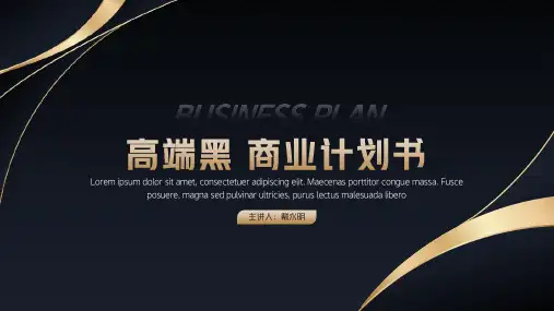 高端黑金商业计划书PPT