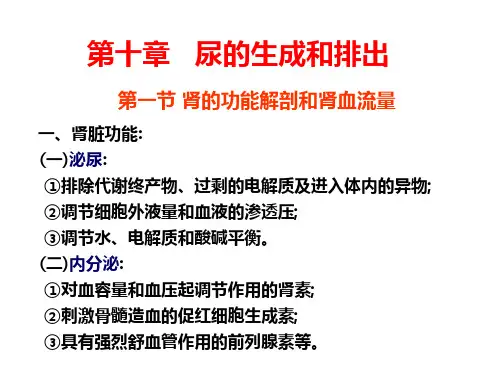 中国药科大学人体解剖生理学——尿的生成2ppt课件