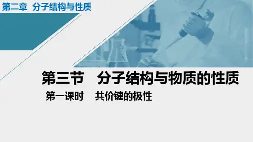 《共价键的极性》精品课件