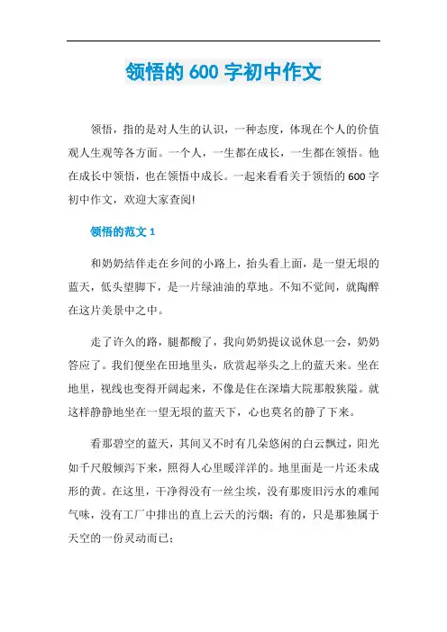 领悟的600字初中作文