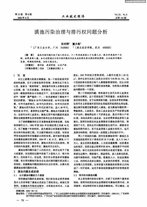 滇池污染治理与排污权问题分析