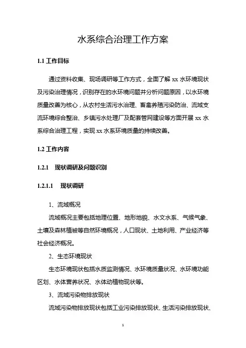 河流水系综合治理工作方案