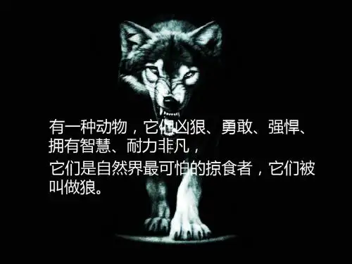 广告公司介绍及营销管理策略.