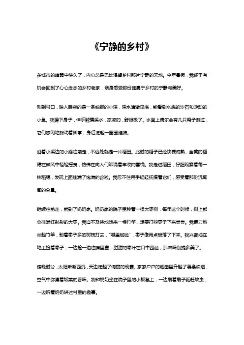 宁静的乡村作文