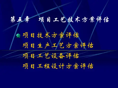 建设项目工艺技术方案评估