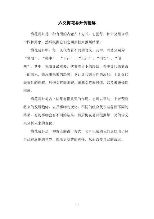 六爻梅花易卦例精解