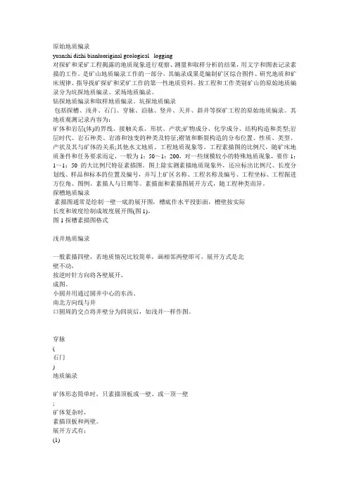 原始地质编录