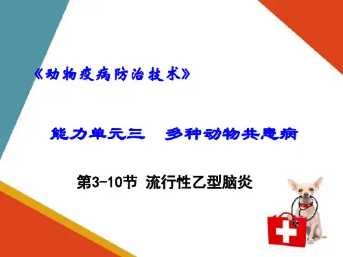 多种动物共患传染病—流行性乙型脑炎(动物疫病防治课件)