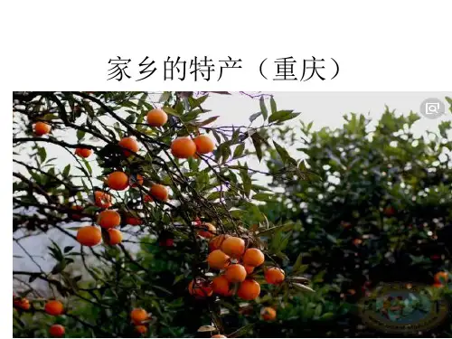 家乡的特产(重庆)