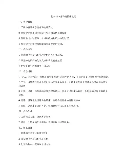 化学初中各物质转化教案