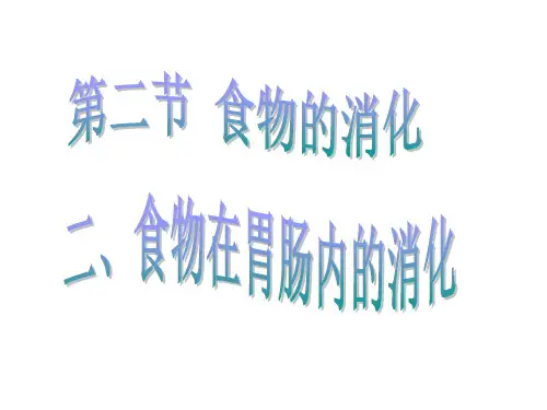 食物在胃肠内的消化
