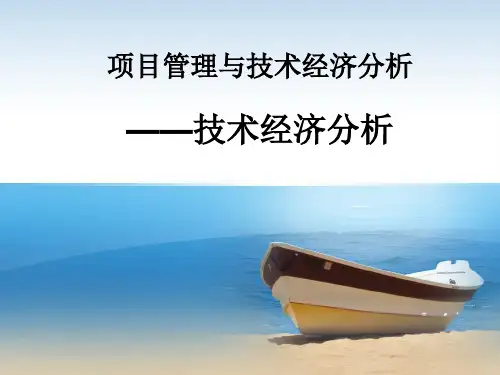 项目管理与技术经济分析-技术经济分析