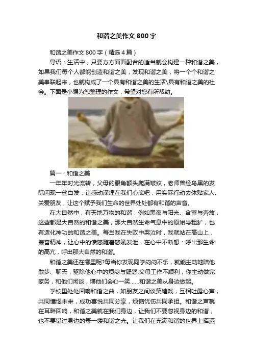 和谐之美作文800字