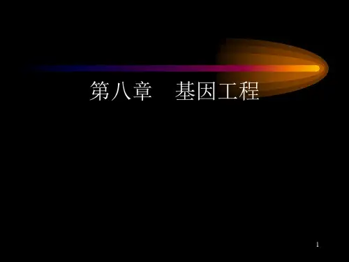 第八章基因工程ppt第八章基因工程.pptx