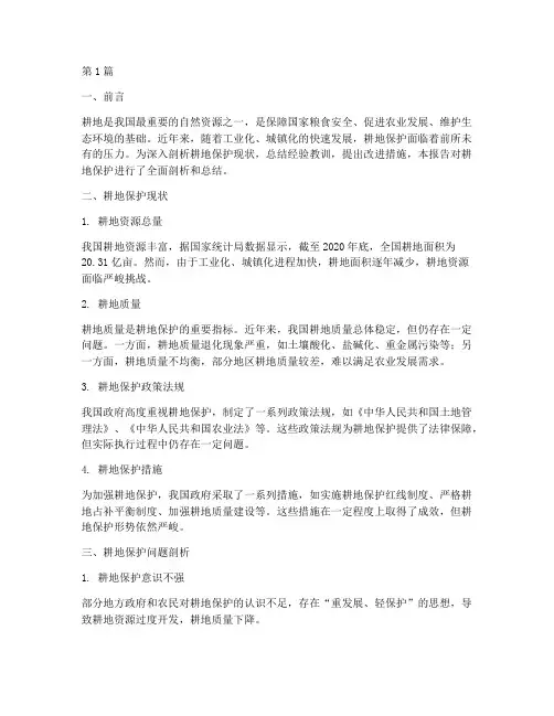 耕地保护剖析总结报告范文(3篇)