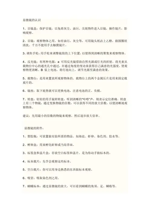 显微镜物镜和目镜成像认识