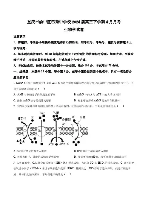 重庆市渝中区巴蜀中学校2024届高三下学期4月月考生物试题(含答案与解析)_8288