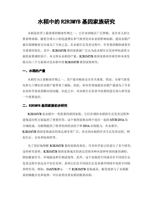 水稻中的R2R3MYB基因家族研究