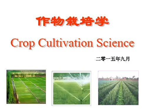 第一节 作物栽培学的性质和任务