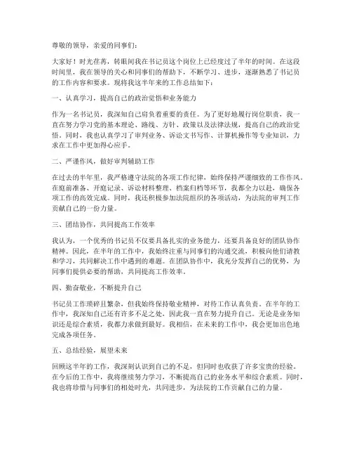 书记员半年内个人工作总结