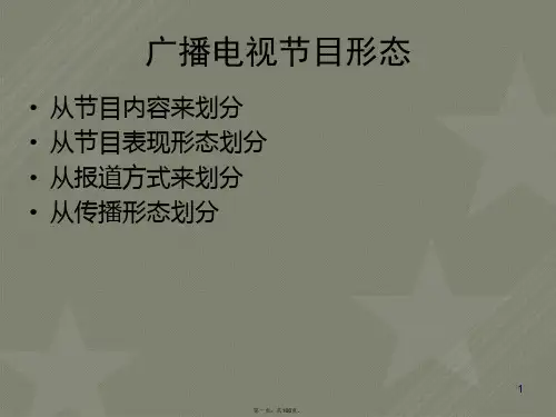 广播电视节目形态