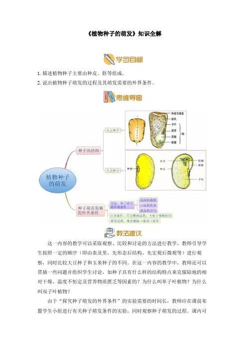 苏教版七年级生物上册《植物种子的萌发》知识全解