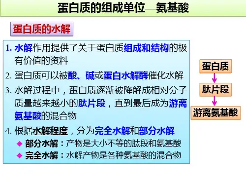 高中生物竞赛课件：蛋白质的氨基酸组成及性质