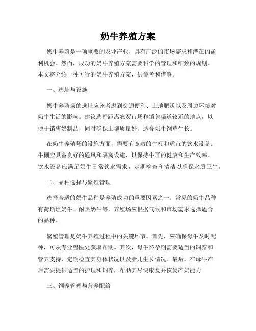 奶牛养殖方案