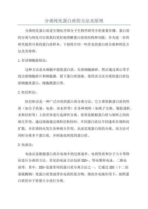 分离纯化蛋白质的方法及原理