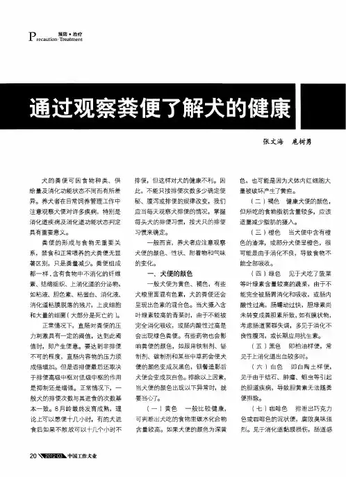 通过观察粪便了解犬的健康