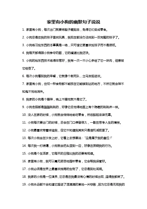 家里有小狗的幽默句子说说