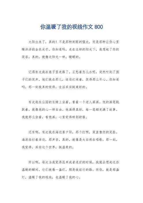 你温暖了我的视线作文800