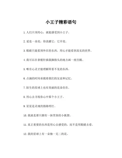 小王子精彩语句