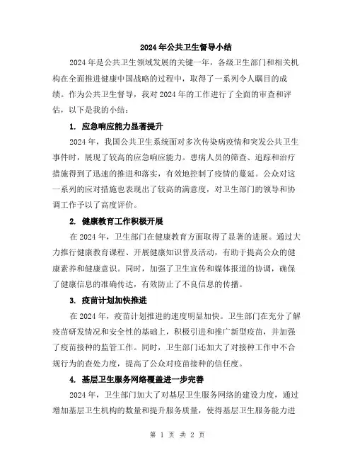 2024年公共卫生督导小结