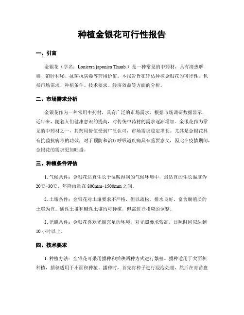 种植金银花可行性报告