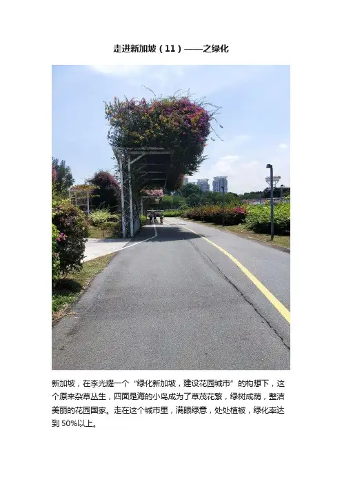 走进新加坡（11）——之绿化