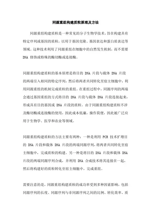 同源重组构建质粒原理及方法