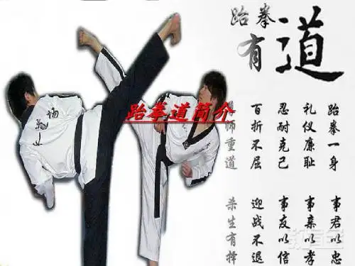 跆拳道课件
