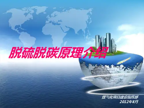 脱硫脱碳原理介绍20120807