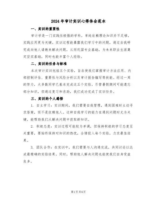 2024年审计实训心得体会范本（四篇）
