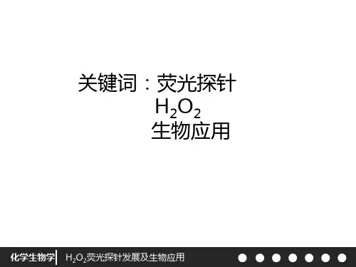 化学生物学荧光探针发光机理课件