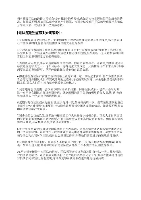 团队的管理技巧和策略